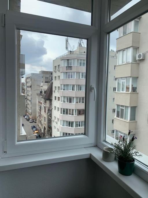 Wonderful University Studio Бухарест Екстер'єр фото